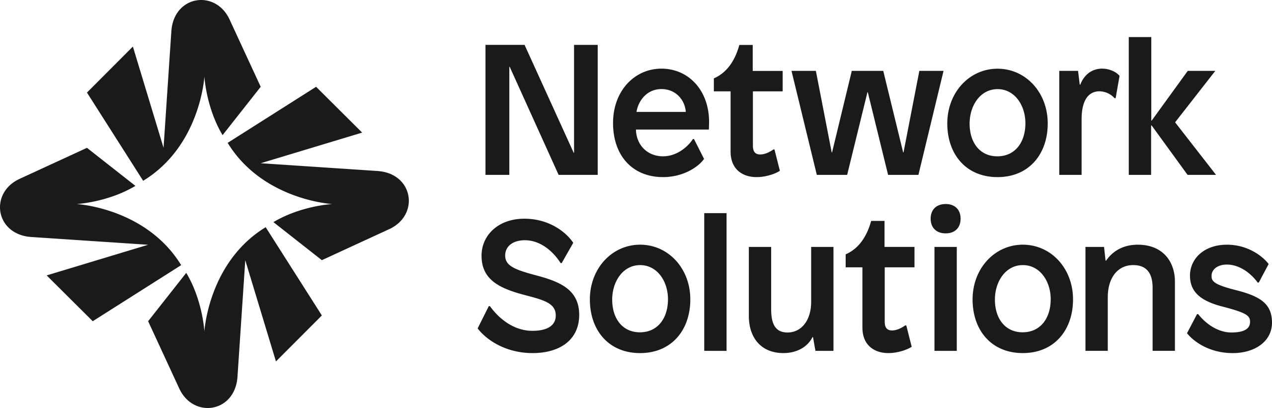 Network_Solutions_Logo