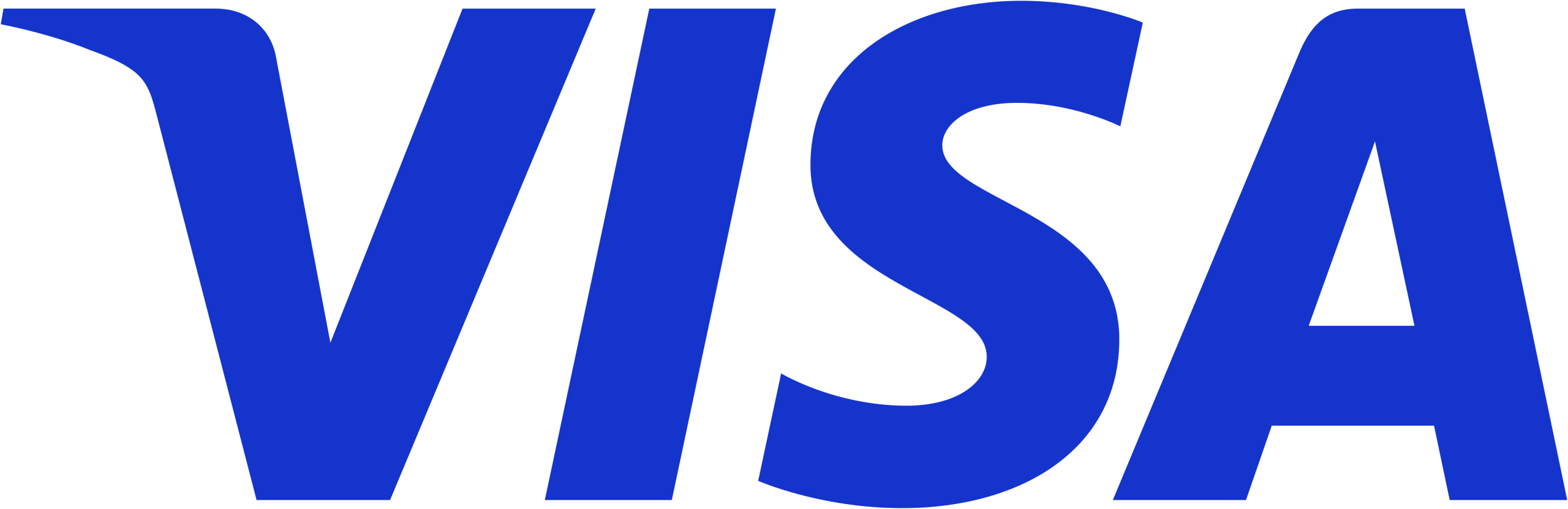 visa_inc_logo